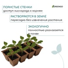 Кассета для рассады, 30 × 15 × 8 см, 8 ячеек по 150 мл, 6 × 6 см, торф, набор 3 шт. - Фото 5