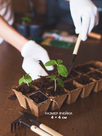 Набор для рассады: торфяная кассета, 24 ячейки по 50 мл, поддон 31 × 20 см, зелёный, пластик, Экоторф