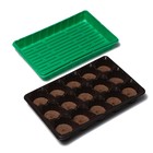 Набор для рассады: торфяная таблетка d=5.5 см, 15 шт., кассета на 15 ячеек по 150 мл, поддон 36×23 см, зелёный, пластик, Экоторф - Фото 1