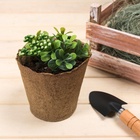 Горшок для рассады, 500 мл, d=11 см, h=10 см, торф, набор 20 шт., Greengo 1306322