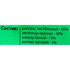 Семена Газонная травосмесь «Газон для ленивых», 5 кг, «Евро-семена» - Фото 4