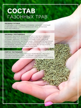 Семена Газонная травосмесь «Сибиряк», 1 кг