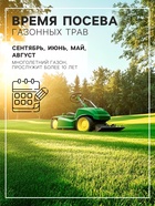 Семена Газонная травосмесь «Сибиряк», 1 кг - Фото 3