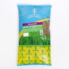 Семена Газонная травосмесь "Игровой", 1 кг - Фото 5