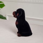 Копилка "Ротвейлер", чёрно-коричневый цвет, флок, керамика, 18 см - Фото 4