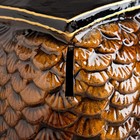 Копилка "Сова на книге", коричневый цвет, керамика, 24 см - Фото 5