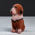 Копилка "Собака Бетховен", коричневый цвет, флок, керамика, 18 см - Фото 2