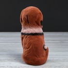 Копилка "Собака Бетховен", коричневый цвет, флок, керамика, 18 см - Фото 4