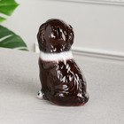 Копилка "Собака Бетховен", глянец, коричневая, 19 см, микс - Фото 3