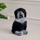 Копилка "Собака Бетховен", флок, чёрная, 18 см - фото 8450056