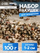 Набор ракушек Умбониум Вестериум, 100 г - Фото 1