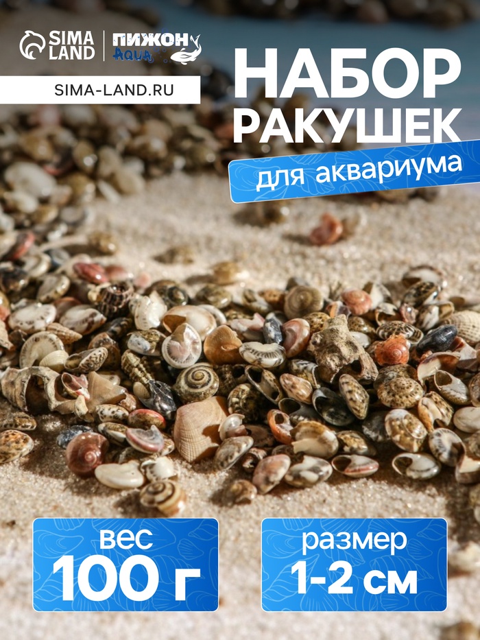 Набор ракушек Умбониум Вестериум, 100 г - Фото 1