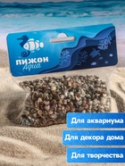 Набор ракушек Умбониум Вестериум, 100 г - Фото 3