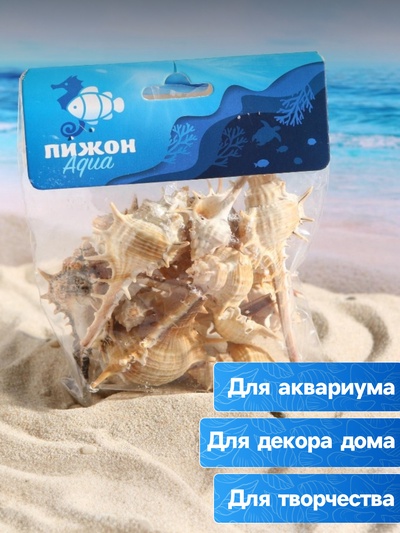 Набор ракушек Мурекс Трапа, 100 г