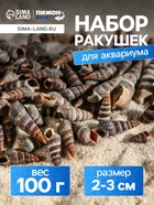 Набор ракушек Батиллярия, 100 г - Фото 1