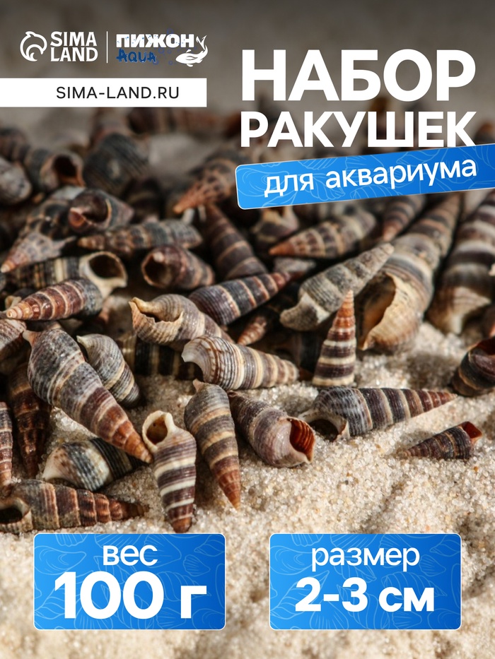 Набор ракушек Батиллярия, 100 г - Фото 1