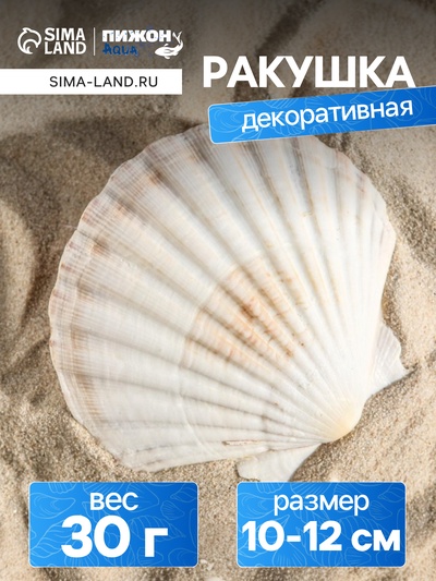 Ракушка декоративная Гребешок, 10-12 см