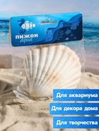 Ракушка декоративная Гребешок, 10-12 см - Фото 3