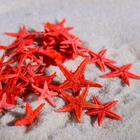 Набор натуральных морских звезд, 1,5-2 см, 20 шт, красный - Фото 1