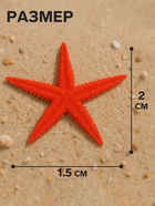 Набор натуральных морских звезд, 1.5-2 см, 20 шт., красный - Фото 2