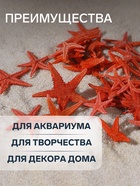 Набор натуральных морских звезд, 1.5-2 см, 20 шт., красный - Фото 3