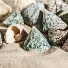 Набор ракушек Тектус Фенестратус, 100 г - Фото 3