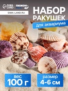 Набор ракушек Пектен Вексиллум средние, 4 - 6 см, 100 г - Фото 1