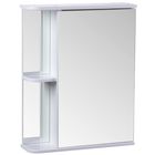 Зеркало-шкаф для ванной комнаты "Тура 5500", с двумя полками, 55 х 15,4 х 70 см - фото 8450223