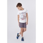 Комплект для мальчика (футболка+шорты), рост 128 см (8 лет), цвет тёмно-серый/белый Н463 - Фото 2