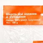 Шерсть для валяния 100% полутонкая шерсть мультиколор 100гр (6083) - Фото 4