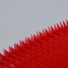 Массажёр антицеллюлитный «Чудо-варежка», с подвесом, цвет МИКС - Фото 3