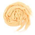 Шерсть для валяния 100% полутонкая шерсть 100гр (1082, шампанское) - Фото 2