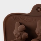 Форма для шоколада Доляна «Дино», силикон, 21×11×2 см, 12 ячеек (4×2.5×2 см), коричневая - Фото 6