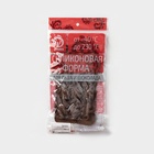 Форма для шоколада Доляна «Дино», силикон, 21×11×2 см, 12 ячеек (4×2.5×2 см), коричневая - Фото 7