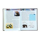 Энциклопедия для любознательных - Фото 4