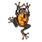Брошь "Янтарь" лягушка с кабошоном, цвет коньячный - Фото 1