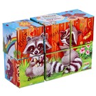 Кубики «Зверята», 6 шт., 3+ - Фото 2