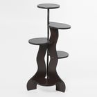 Полка для цветов "Бис", цвет венге - Фото 1