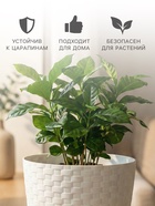 Горшок для цветов с поддоном «Ротанг», 2 л, d=15 см, h=14 см, пластиковый, белый - Фото 3