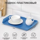 Поднос Петропласт «Дональд», 30×21 см, пластик, МИКС - Фото 1