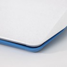 Поднос Петропласт «Дональд», 30×21 см, пластик, МИКС - Фото 3