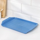 Поднос Петропласт «Дональд», 30×21 см, пластик, МИКС - Фото 2