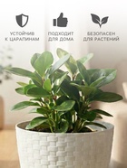 Горшок для цветов с поддоном «Ротанг», 3 л, d=17 см, h=17 см, пластиковый, белый - Фото 3