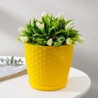 Горшок для цветов с поддоном «Ротанг», 2 л, цвет жёлтый - Фото 1