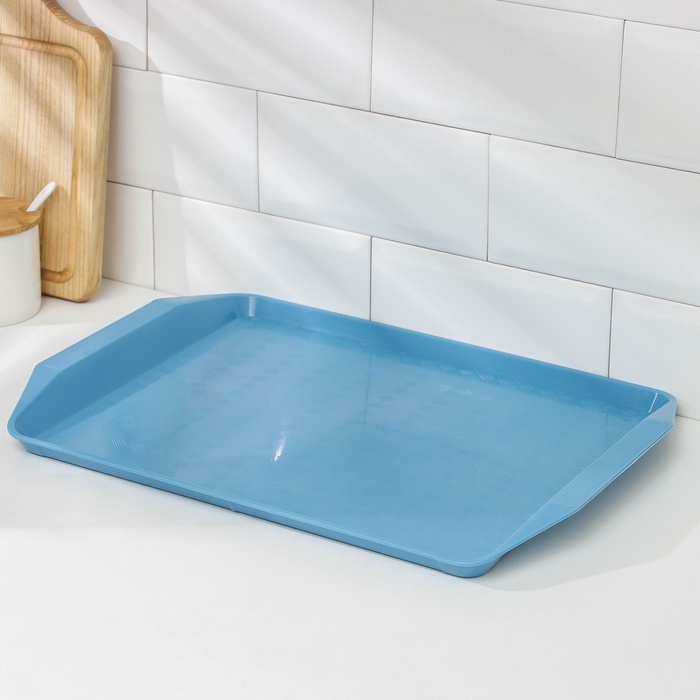 Поднос Петропласт «Дональд», пластик, 43×30 см, МИКС - Фото 1