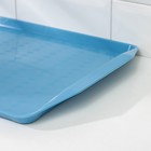 Поднос Петропласт «Дональд», пластик, 43×30 см, МИКС - Фото 3