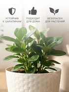 Горшок для цветов с поддоном «Ротанг», 1.2 л, d=13 см, h=12 см, пластиковый, белый - Фото 3