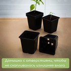 Маркетплейс Горшок для рассады, 500 мл 9*9*10 см, ( набор 6 шт) (c 4606276) чёрный 1314183