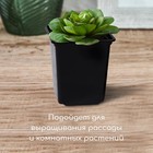 Маркетплейс Горшок для рассады, 500 мл 9*9*10 см, ( набор 6 шт) (c 4606276) чёрный 1314183