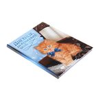 Дневник для музыкальной школы "Котёнок", твердая обложка, глянцевая ламинация - Фото 2